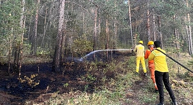 Ormanlık alanda çıkan örtü yangını söndürüldü