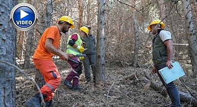 Palandöken'de yangına karşı seferberlik
