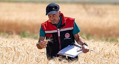 Rekolte iklime yenik düştü