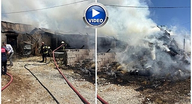 Samanlık ve ahır küle döndü