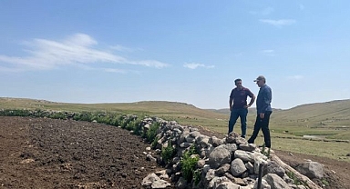 Şap hastalığıyla mücadele sürüyor   