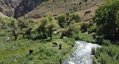 Şelalenin gözeleri ziyaretçilerin uğrak yeri