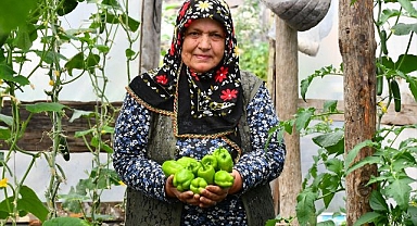Seradan sofraya organik sebzeler...