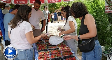 Tezgahlarda yerlerini aldılar