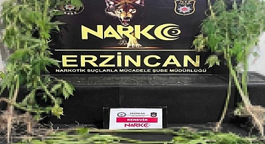 Uyuşturucuya geçit yok
