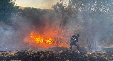 Yangında 50 dönümlük arazi zarar gördü