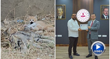Öğretmene Kaymakamdan başarı belgesi