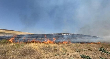 Yüzlerce dönüm arazi kül oldu