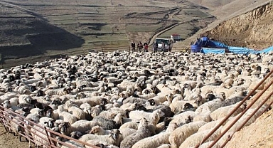 2025 yılı destekleme başvuruları başladı