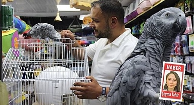 Afrika'dan Erzurum'a... Çiko yeni sahibini arıyor!