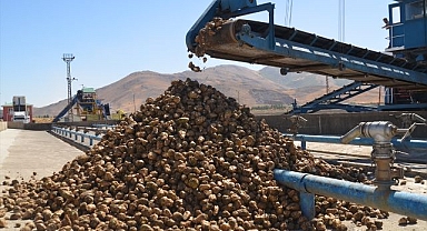 Alım başladı... Çiftçiye 1 milyarı aşkın ödeme yapılacak