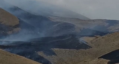 Anız yangınına müdahale sürüyor