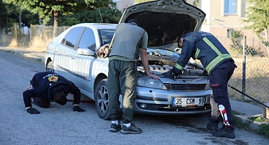 Aracın kaputunda şaşırtan misafir