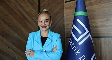 Aras EDAŞ CFO’su Arzu Miroğlu'na uluslararası ödül