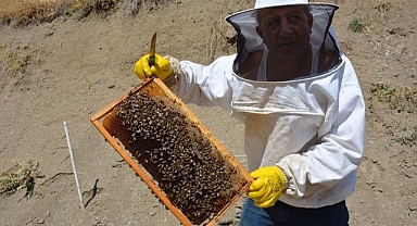 Arıcıların bal mesaisi sürüyor