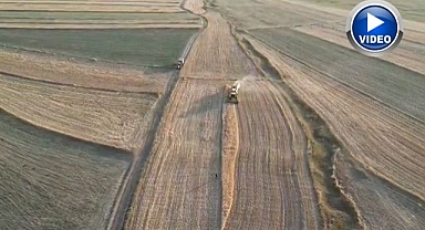 Arpa ve buğday hasadı sürüyor