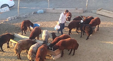 Besiciler kış hazırlığında...