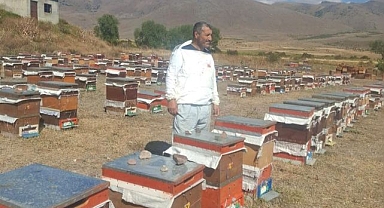 Çat'ta arıcıların ayı nöbeti