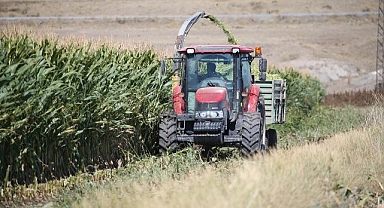 Denemeler başarılı oldu...  Verim yüksek!