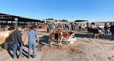 Doğu'da bir ilde daha açıldı...