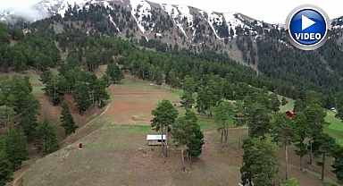 Erzurum'da yaylalara erken kar sürprizi