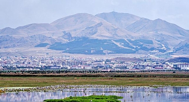 Erzurum'un beşeri sermaye puanı açıklandı