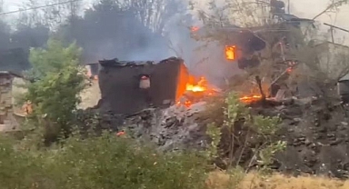 Evler ve ağaçlık alan alevlere teslim oldu