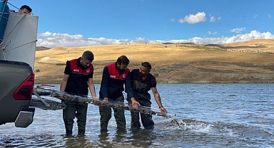 Göletlere 1 milyon sazan salındı