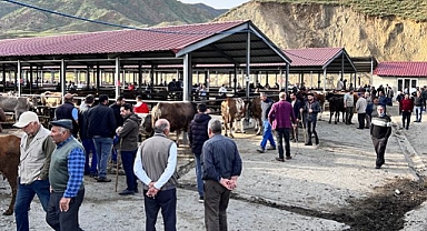 Hayvan pazarları yeniden açıldı