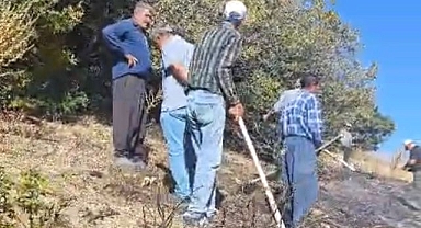 İlçede çıkan orman yangını korkuttu!