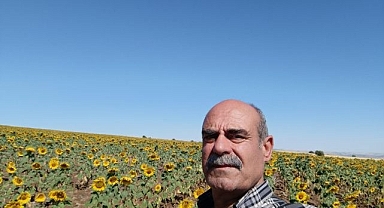 İlçede ilk kez yağlık ayçiçeği üretimi yaptı