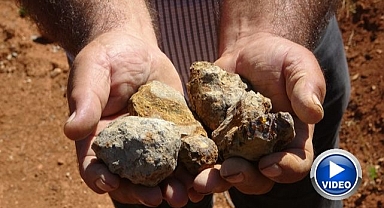 Kehribarın zorlu mesaisi