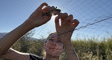 Kuzeyden güneye kuş göçü yoğunlaştı