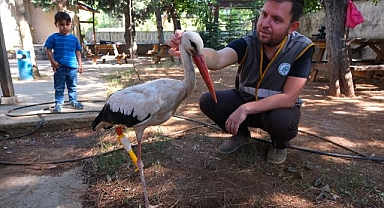 Leylek protez bacağıyla göç yolculuğuna çıkacak