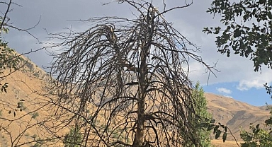 O köyde kuraklık alarm veriyor