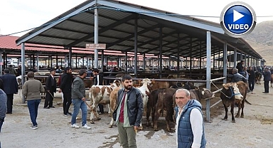 Oltu canlı hayvan pazarı eski canlılığına kavuştu