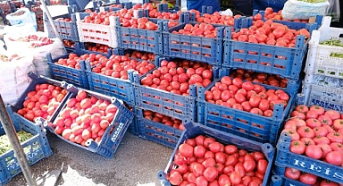 Salçalık domates ve biberler tezgahlarda