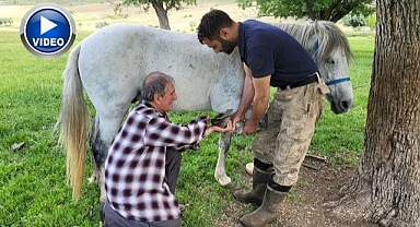 Son nalbant ustası mesleğini yaşatıyor