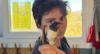 Almanya'dan geldi... Bölgeye katkı sağlıyor