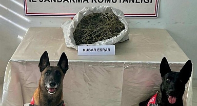 Uyuşturucuya geçit verilmedi!