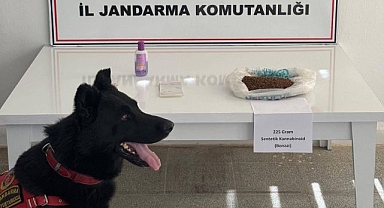 Uyuşturucuya geçit verilmedi!