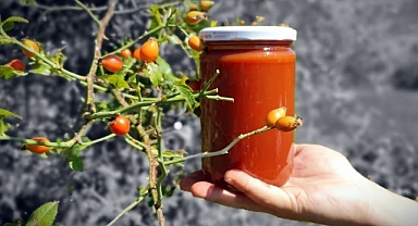 Zorlu arazilerden toplanan kuşburnular kavanozlarda