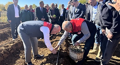 20 bin fide toprakla buluşturuldu