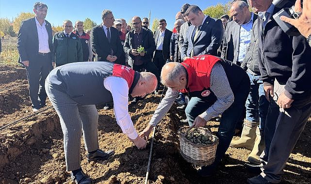 20 bin fide toprakla buluşturuldu