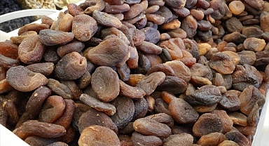 9 ayda yüzlerce milyon dolarlık ihracat