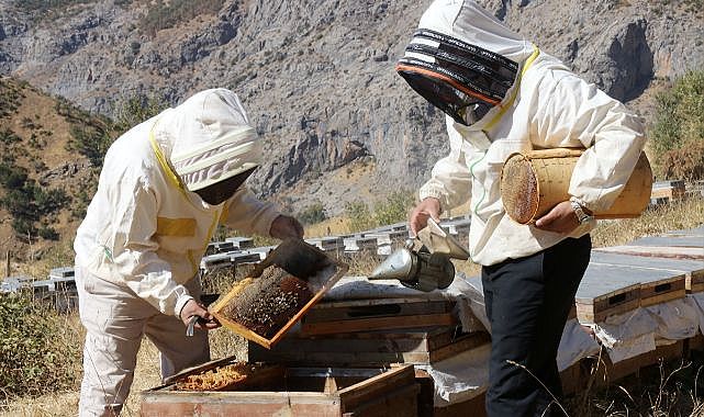 Ailesiyle yalnız yaşadığı köyde yılda 2,5 ton bal üretiyor