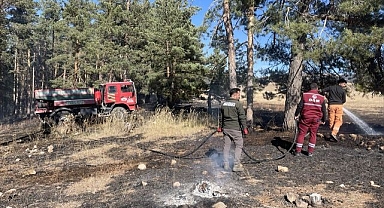 Alevler 1 hektarlık alanı kül etti