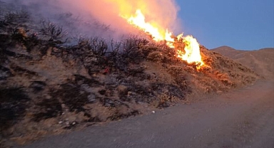 Anız yangını korkuttu!