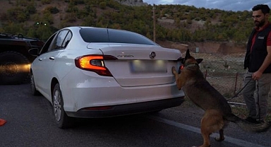 Arabaya zulaladılar ama Luna'ya takıldı!