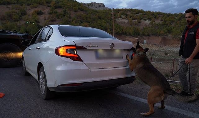 Arabaya zulaladılar ama Luna'ya takıldı!